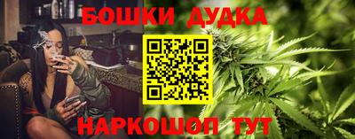 гидропоника Пугачёв