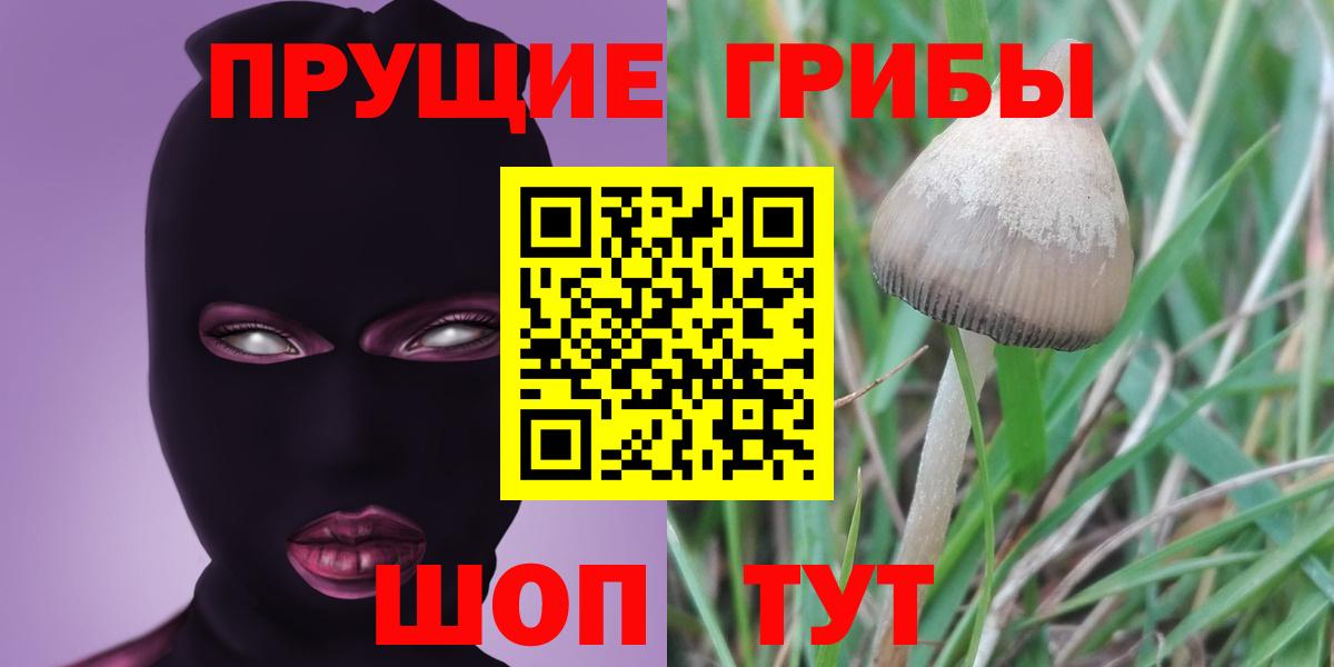 Псилоцибиновые грибы MAGIC MUSHROOMS  Вход с VPN  Пыть-Ях 