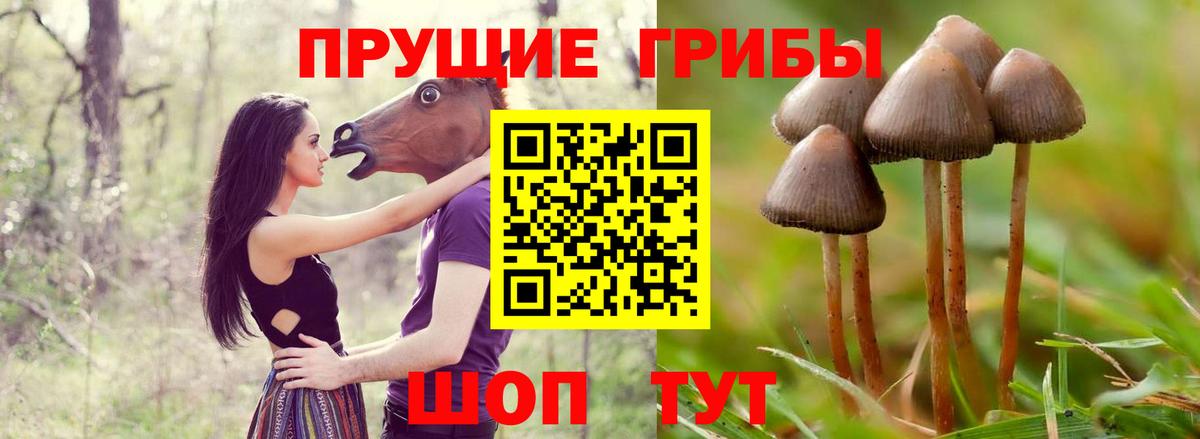 Псилоцибиновые грибы Magic Shrooms Пыть-Ях
